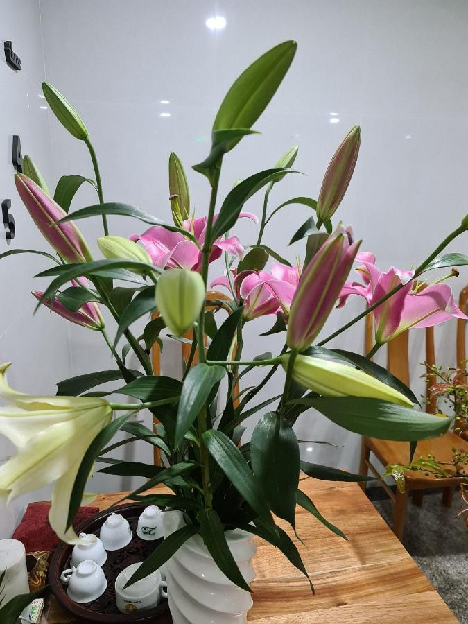 Ocean View Quy Nhon Hotel Εξωτερικό φωτογραφία